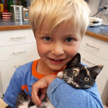Bearspaw cat boarding kitten with Bearspaw Cat Boarding family owner