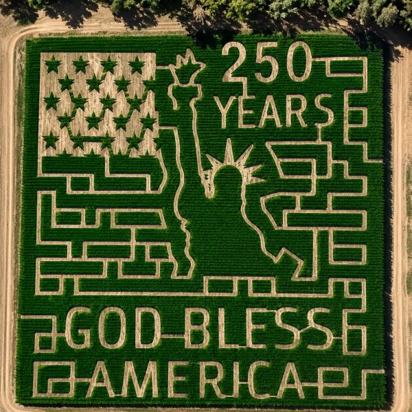 A corn maze celebrating 250 years of America with Statue of Liberty and flag.