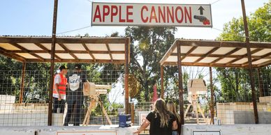 Apple cannon at THAT Ranch