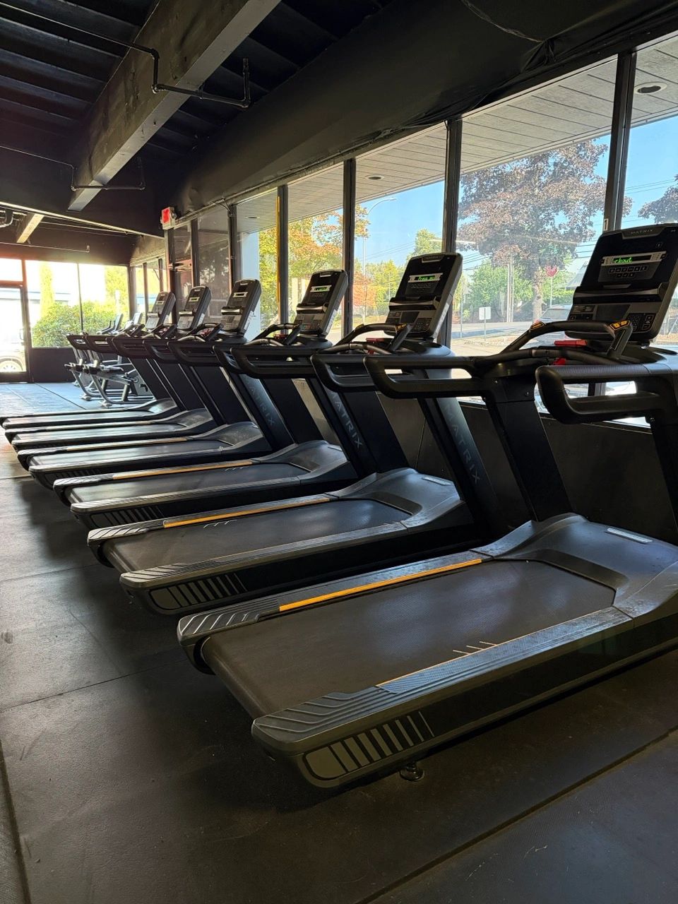 Row of treadmills by the windows