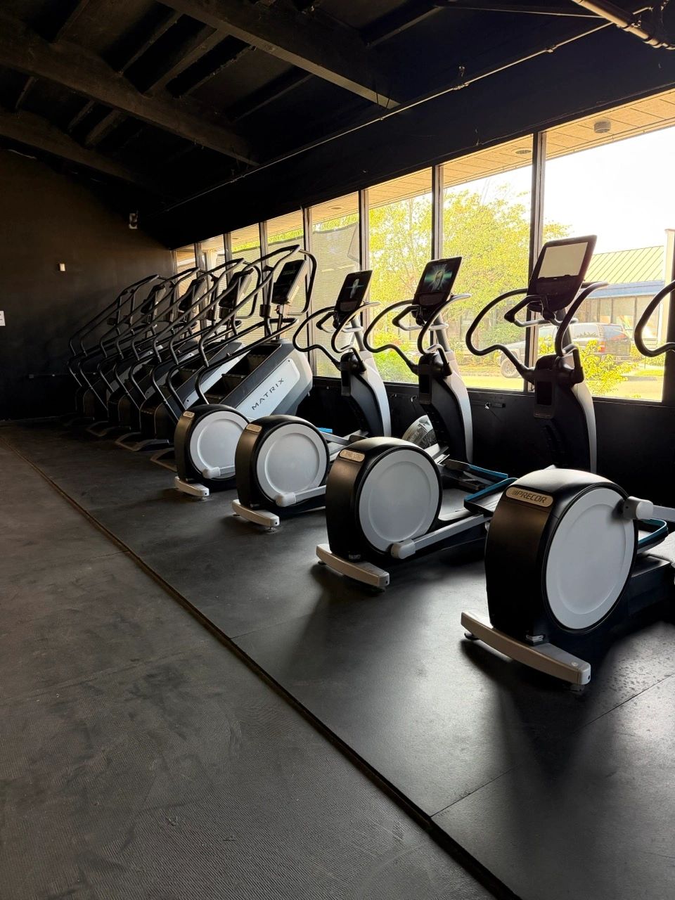Ellipticals by the windows