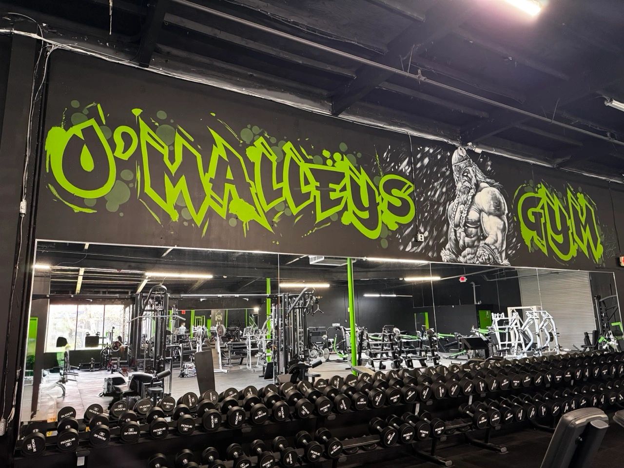 Dumbbell racks under the O'Malley's graffiti wall