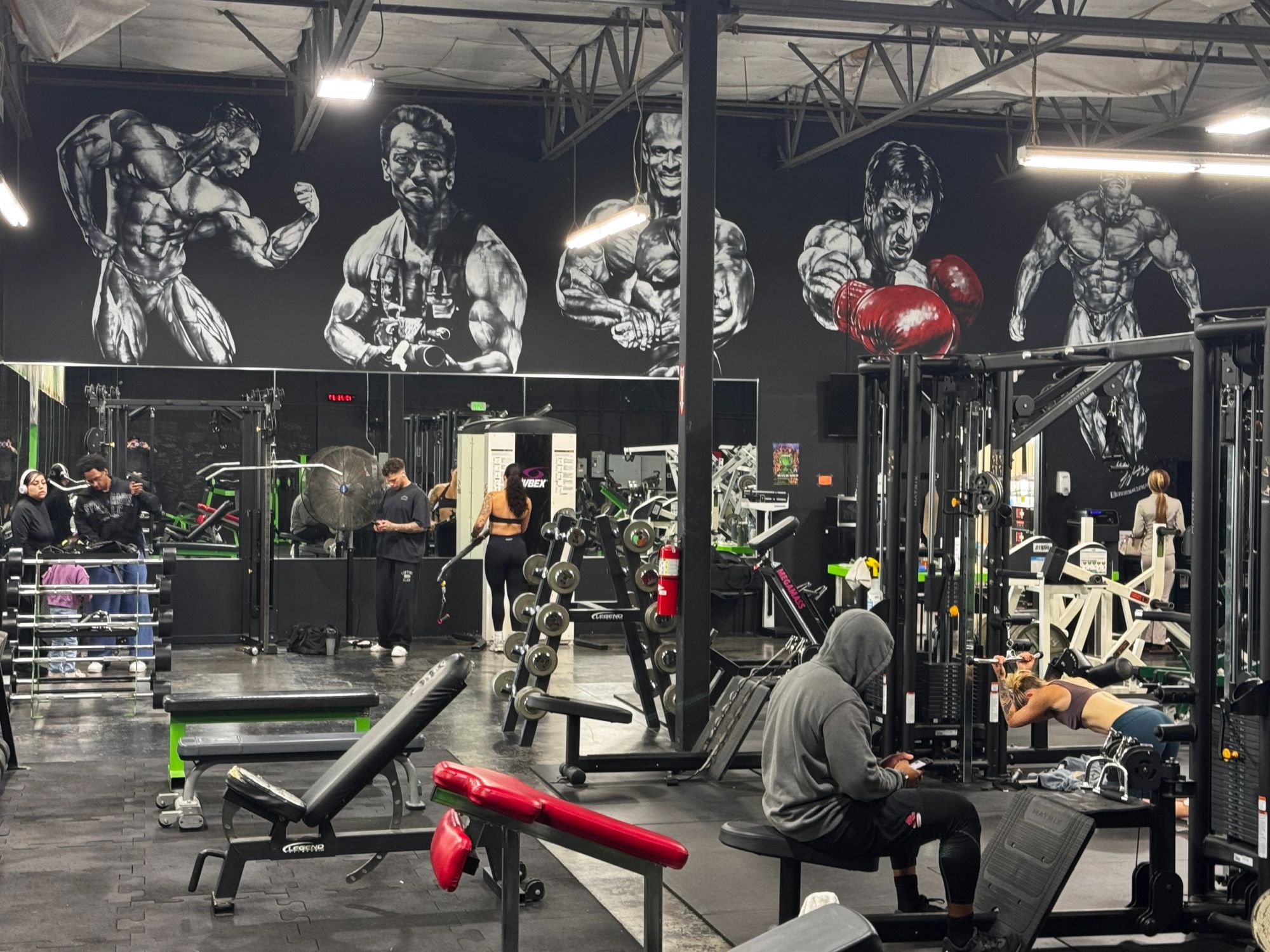 Members training under bodybuilding murals