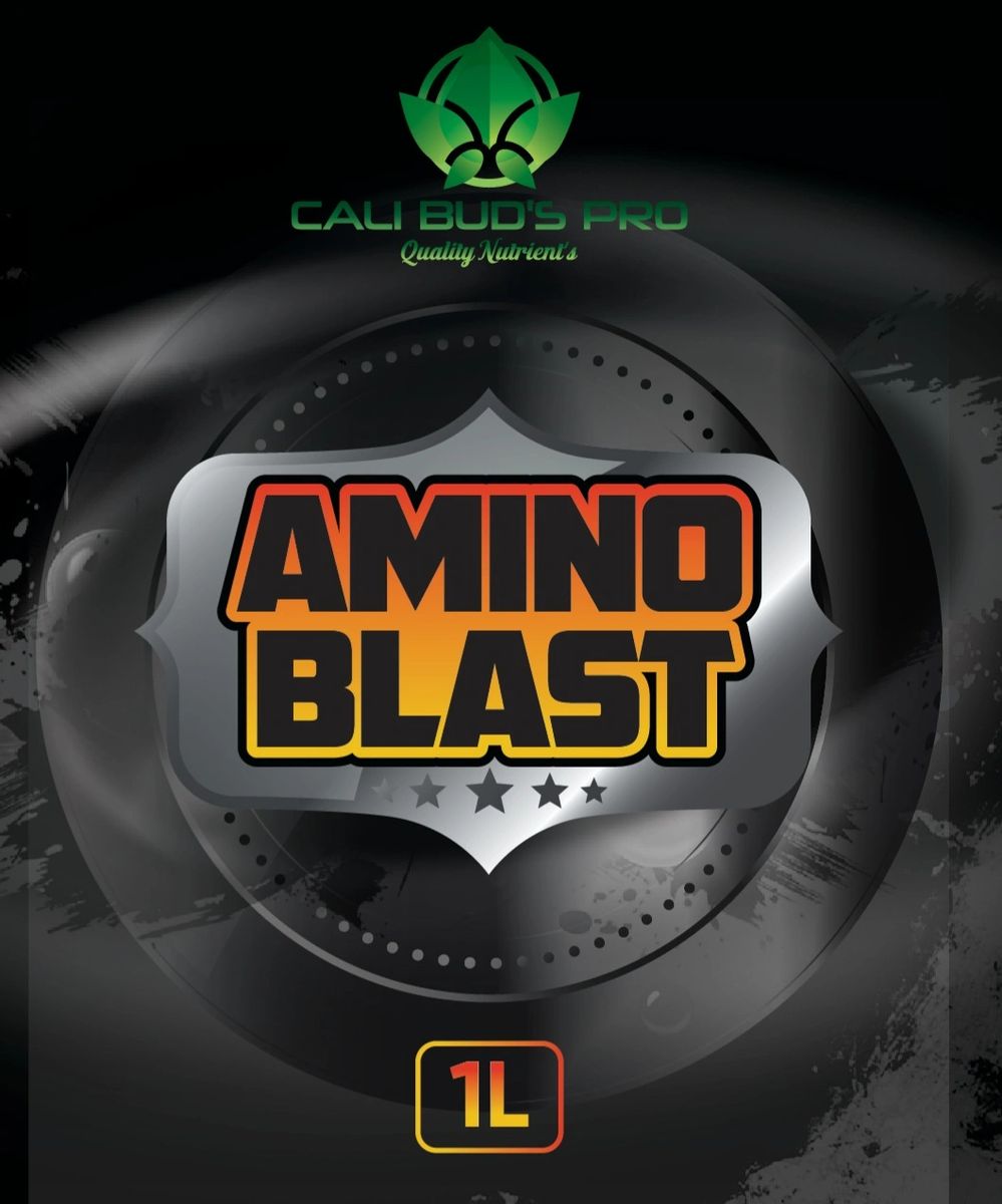 Amino blast