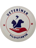 yildiztabyavet.com