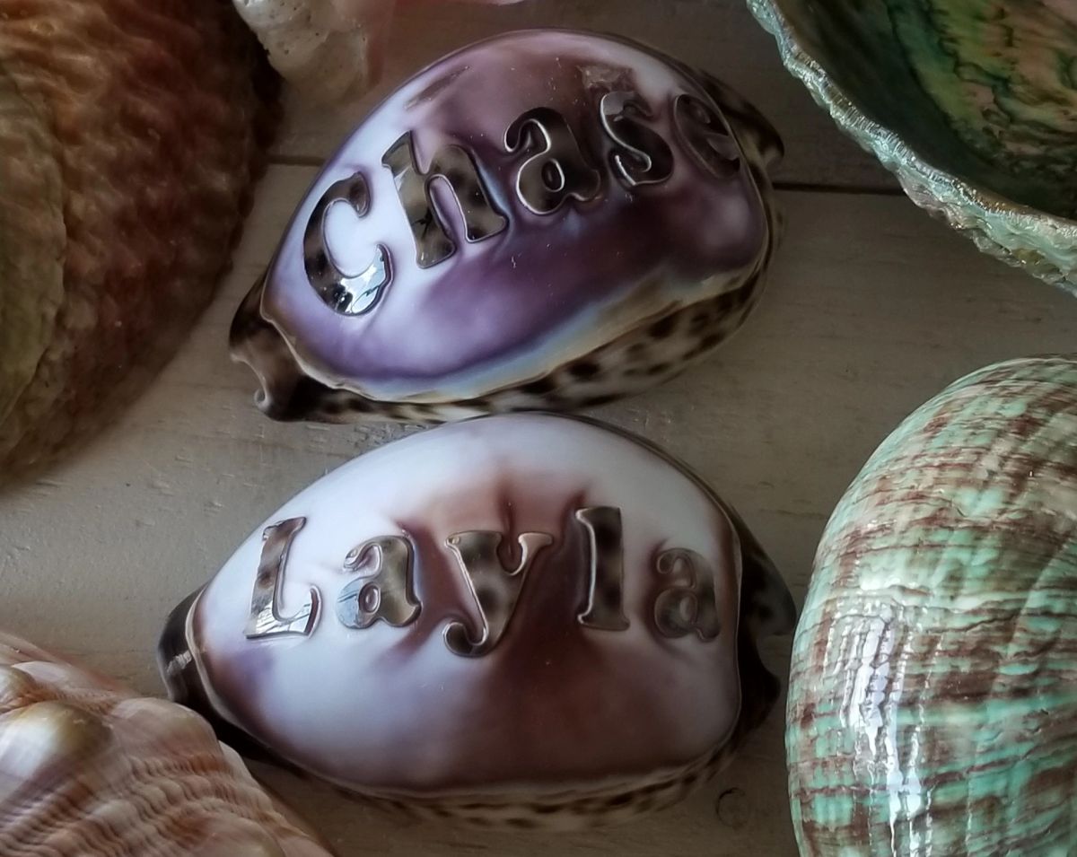 Any Name Engraved on a Shell (Up to four lines)