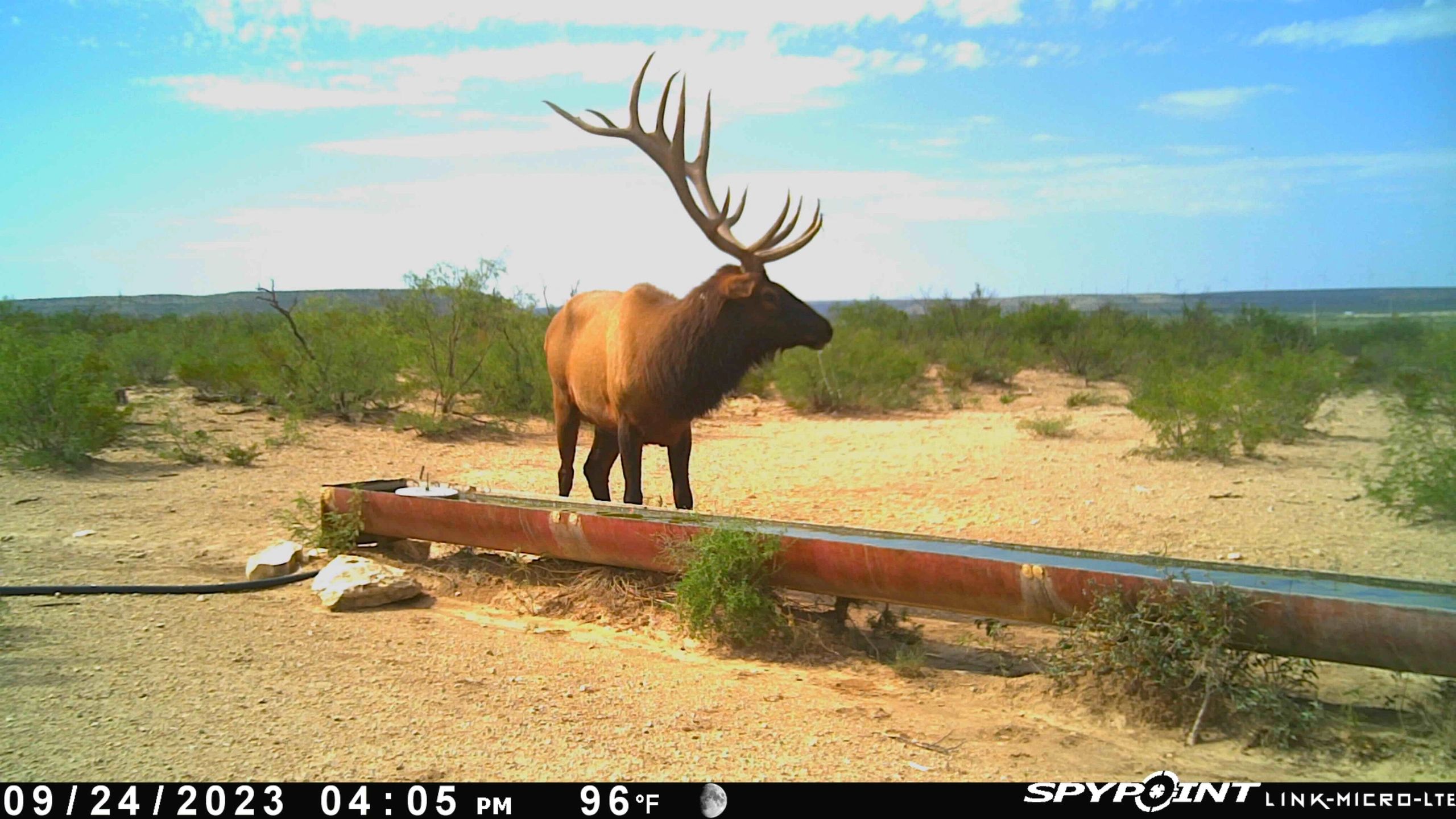 Perry Ranch