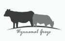 Wynnamal Greys
