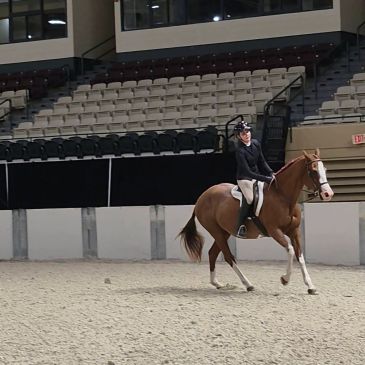 A rider on a brown horse in an indoor arena.