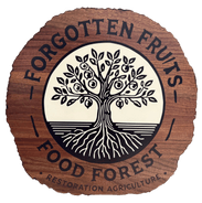 Forgotten Fruits