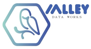 Valley Data Works LLC