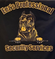 E's Pro Security
