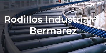 www.bermarez.com.mx