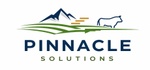 Pinnacle Solutions QLD