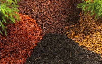 Winnipeg Landscaping design with mulch. Chocolate mulch, black mulch, gold mulch, natural mulch chip