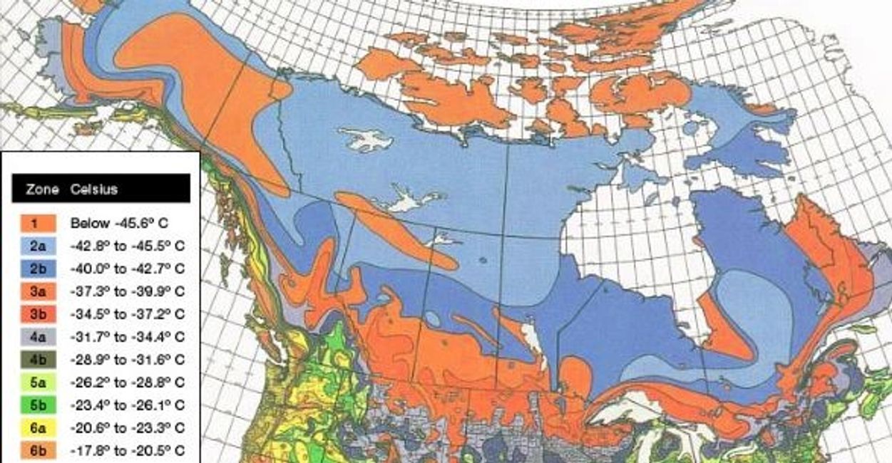 Landscaping with Perennials in Winnipeg Sod Installation Winnipeg