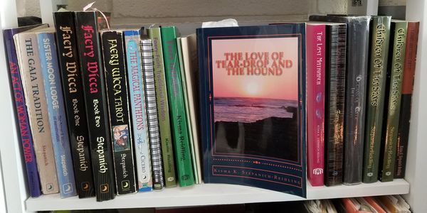 Photo of Kisma's personal bookshelf displaying her books.