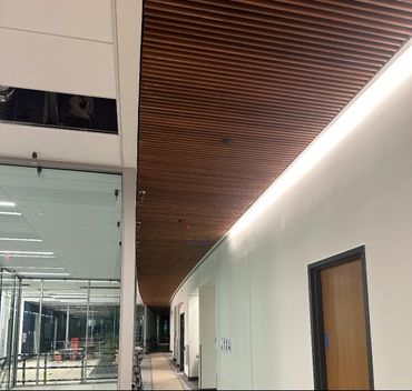 Acoustical Wood Ceiling