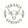 Terania Springs