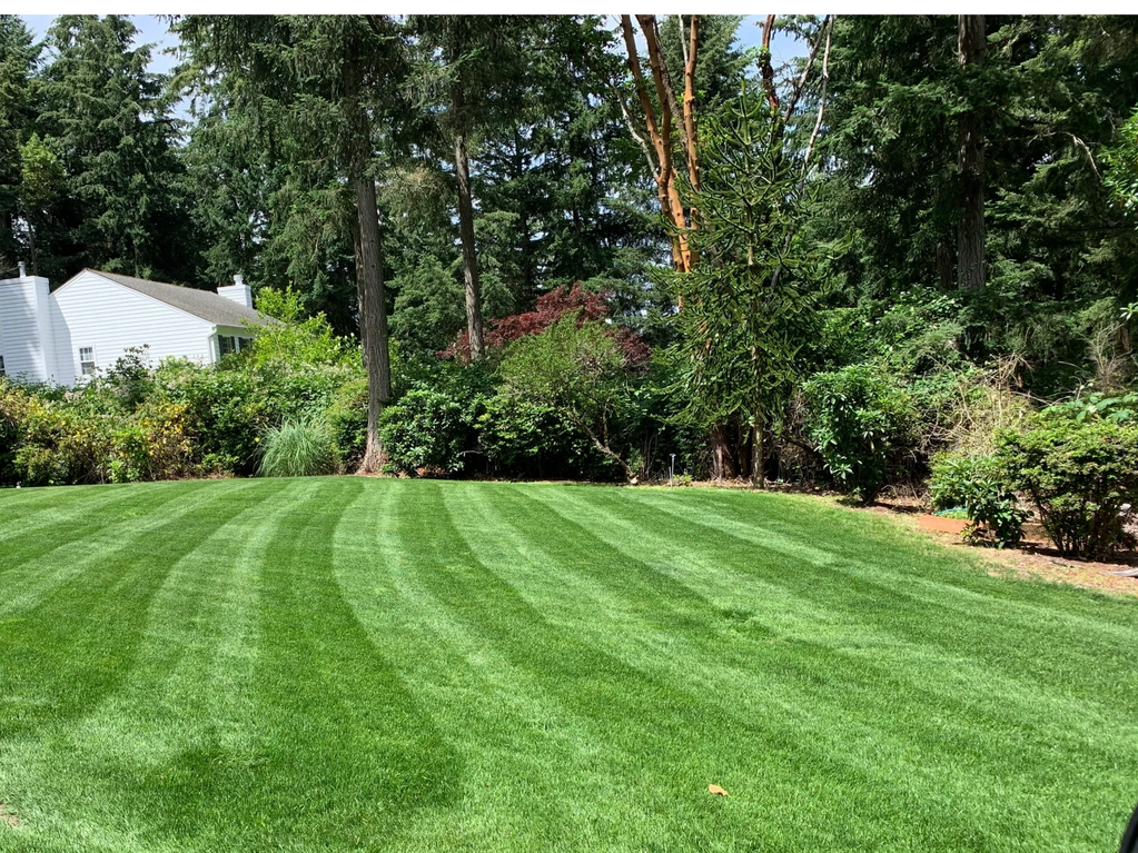 Lawn Care and Maintenance
