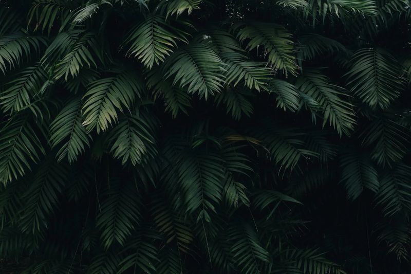 pexels-photo-1072179.webp