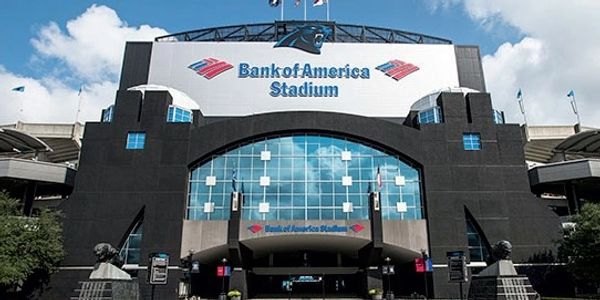 Bank Of America Stadium, Excellart Aluminum Extrusions, Custom Kerf Cut, D'Andrea Marketing