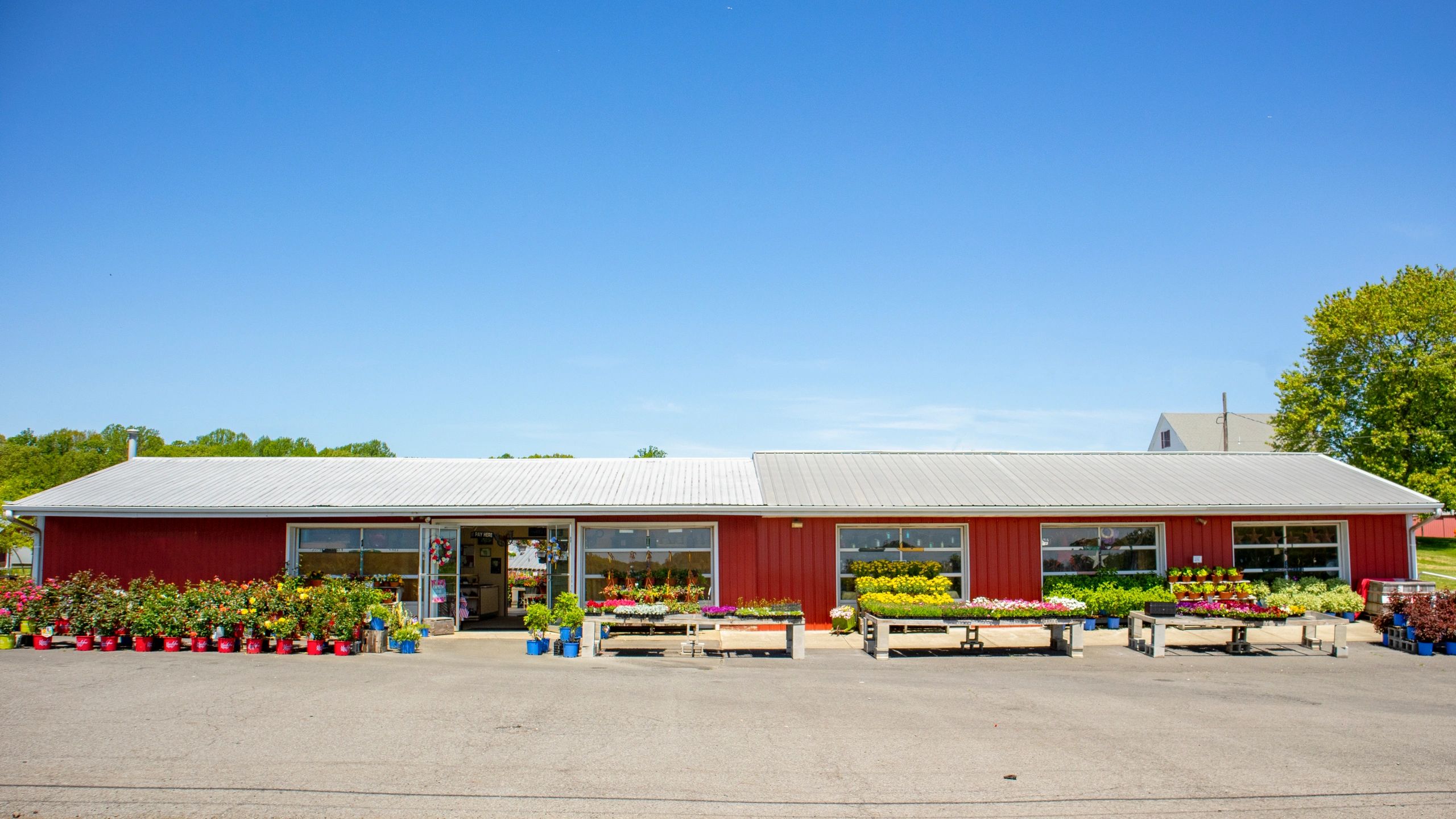 Byrne Farms, LLC photo