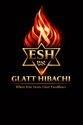ESH Glatt Hibachi