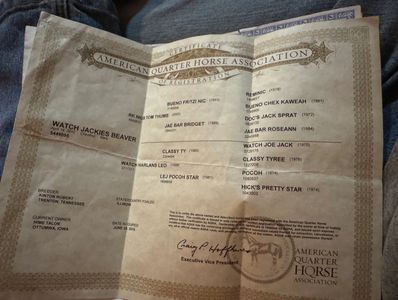 American Quarter Horse Association certificate with horse details.