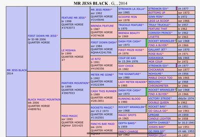 A detailed pedigree chart for Mr Jess Black, a 2014 Quarter Horse.