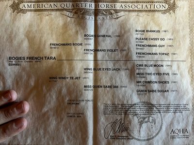 Certificate showing lineage of an American Quarter Horse named Bogies French Tara.