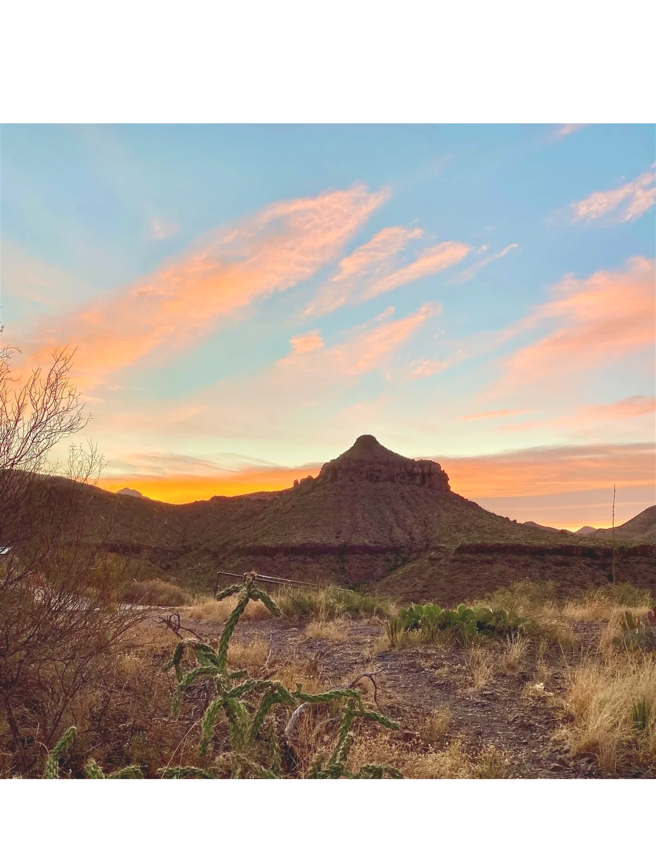 Freeman Services - Major Gifts Consultant, Donor Data, Development ...