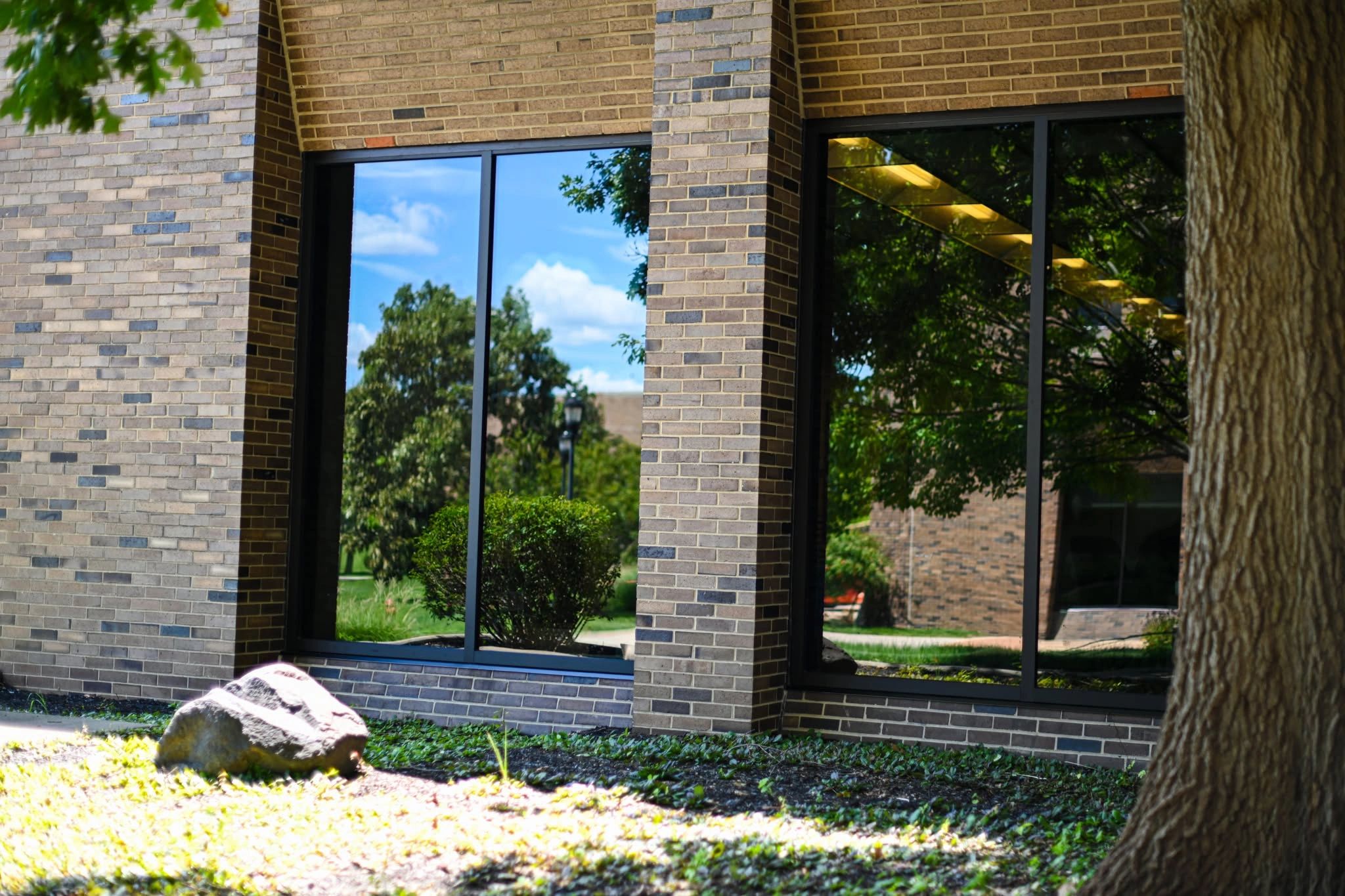 Reflections of trees and sky in building windows.