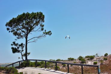 Paraglider chasing an updraft- Dauphin Island.