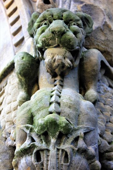 Lion Gargoyle- Swinney Homestead, Springfield Illinois