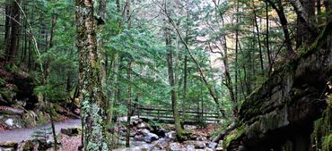 Flume Gorge, Franconia Notch State Park, Lincoln, New Hampshire.