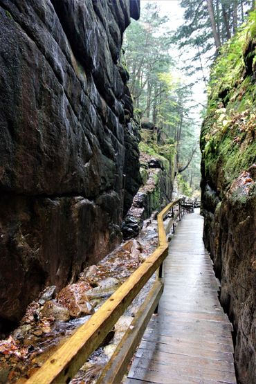 Granite Pathways- Flume Gorge, Franconia Notch State Park, Lincoln, New Hampshire.
