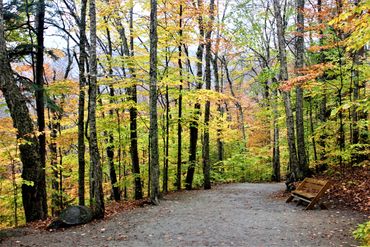 Flume Gorge, Franconia Notch State Park, Lincoln, New Hampshire.