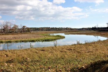 Rachel Carson National Wildlife Refuge- Maine.