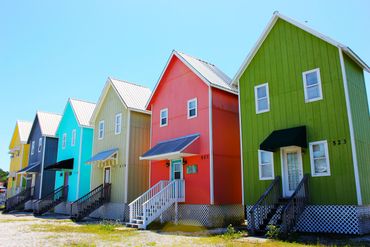 Painted Ladies- Gulf Shores, Alabama