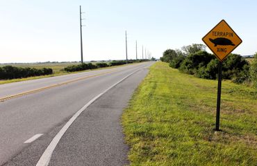 Terrapin Xing- Jekyll Island, Georgia.