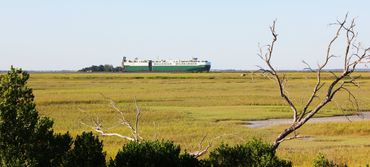 Jekyll Island, Georgia.