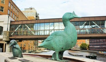 Ducks of the Milwaukee Harbor- Milwaukee Pierhead Lighthouse- Milwaukee, Wisconsin.