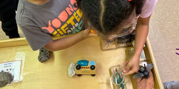 Children examining insects and rocks on a table in a classroom.