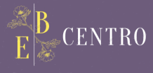 CENTRO INMOBILIARIA