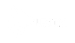 Levitas Consulting