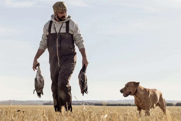 A man carrying two ducks with a dog walking beside him in a field.
