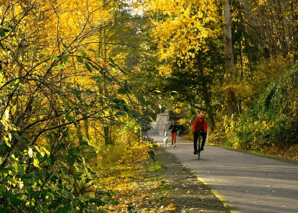 Burke Gillman Trail 