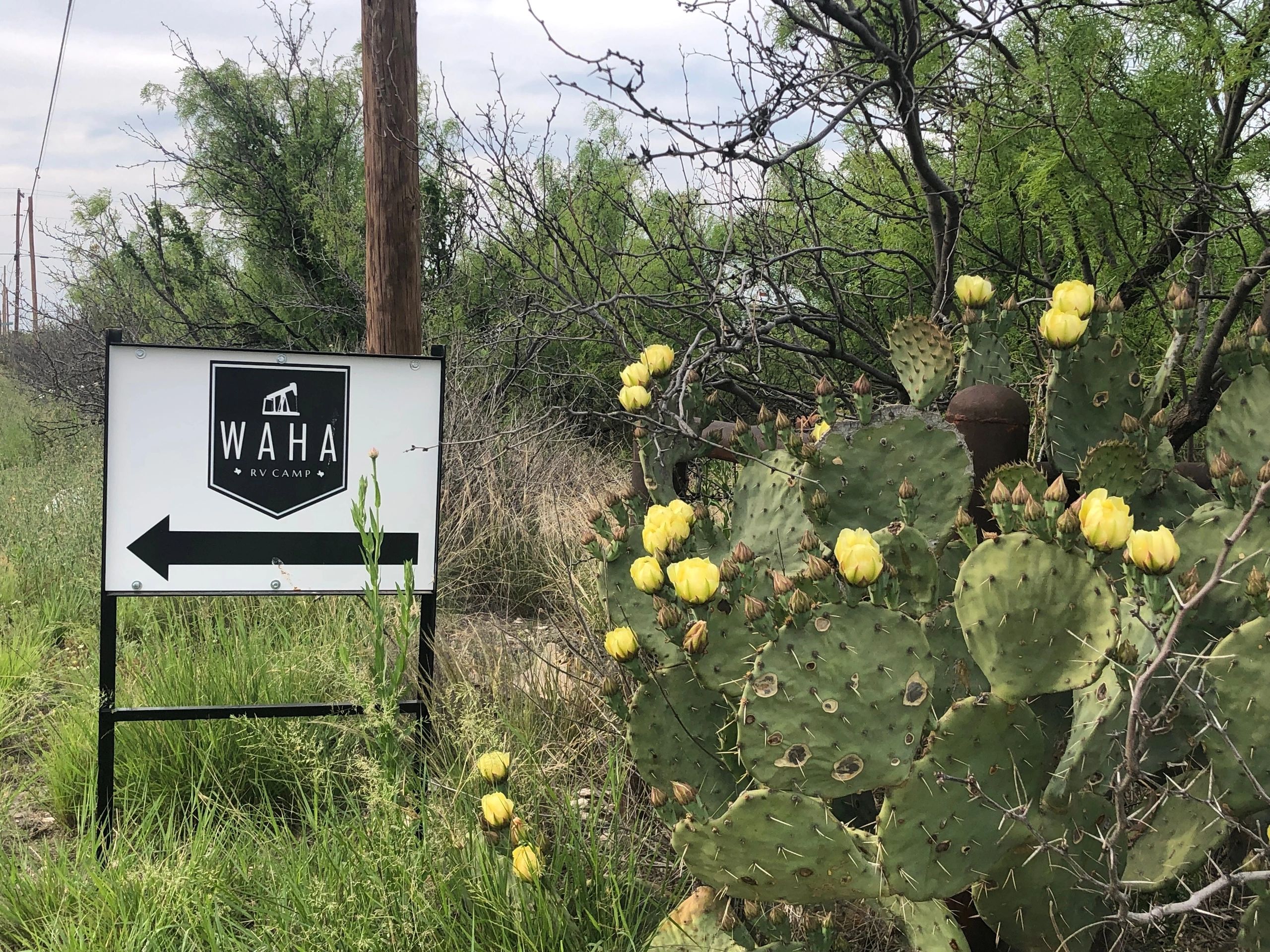 WAHA RV Camp - Main photo