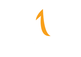 aonesoftech.com